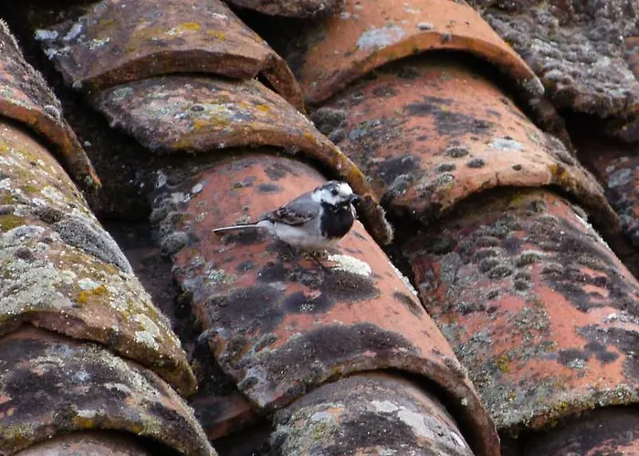 Appartement Casco Viejo